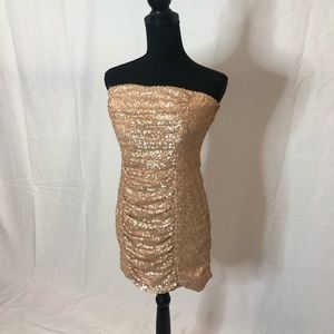Rose Gold Sequin Tube Dress